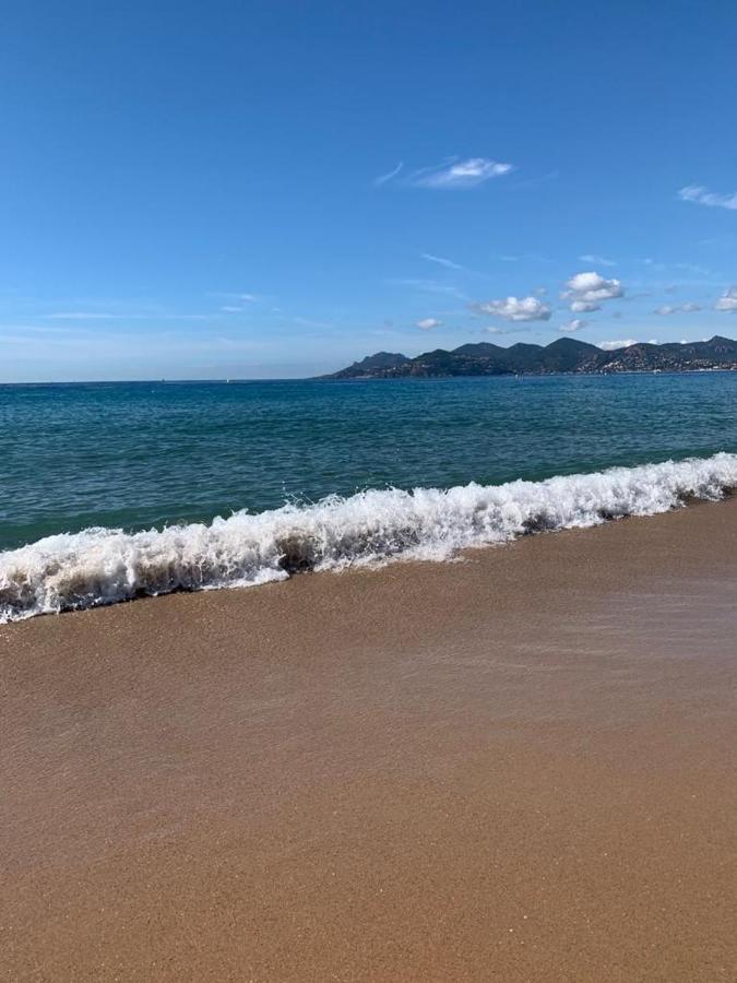 Cannes Old Port, Seafront & Seaview, Yacht Show Port Екстериор снимка